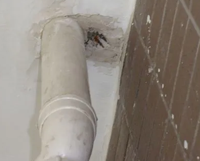 南阳漏水检测哪家好